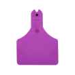 Picture of ALLFLEX  A-TAG CALF V2 one piece PURPLE BLANK - 25/bag
