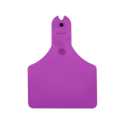 Picture of ALLFLEX  A-TAG CALF one piece PURPLE BLANK - 25/bag