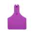 Picture of ALLFLEX  A-TAG CALF V2 one piece PURPLE BLANK - 25/bag