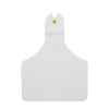 Picture of ALLFLEX  A-TAG CALF V2 one piece WHITE BLANK - 25/bag