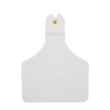 Picture of ALLFLEX  A-TAG CALF V2 one piece WHITE BLANK - 25/bag