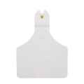 Picture of ALLFLEX  A-TAG CALF V2 one piece WHITE BLANK - 25/bag