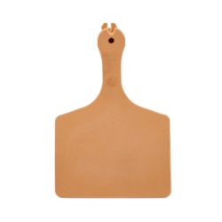 Picture of ALLFLEX  A-TAG FEEDLOT one piece BROWN BLANK - 50/bag