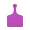Picture of ALLFLEX  A-TAG FEEDLOT V2 one piece LT PURPLE BLANK - 50/bag