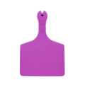 Picture of ALLFLEX  A-TAG FEEDLOT V2 one piece LT PURPLE BLANK - 50/bag