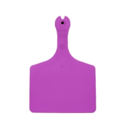 Picture of ALLFLEX  A-TAG FEEDLOT one piece LT PURPLE BLANK - 50/bag