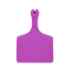 Picture of ALLFLEX  A-TAG FEEDLOT V2 one piece LT PURPLE BLANK - 50/bag