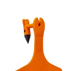 Picture of ALLFLEX  A-TAG FEEDLOT one piece DK ORANGE BLANK - 50/bag