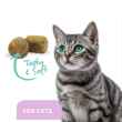 Picture of ProDen DentalCare SOFT CHEWS for CATS - 45s