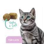 Picture of ProDen DentalCare SOFT CHEWS for CATS - 45s
