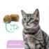 Picture of ProDen DentalCare SOFT CHEWS for CATS - 45s
