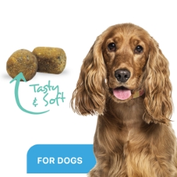 Picture of ProDen DentalCare SOFT CHEWS for Small/Med DOGS - 45s