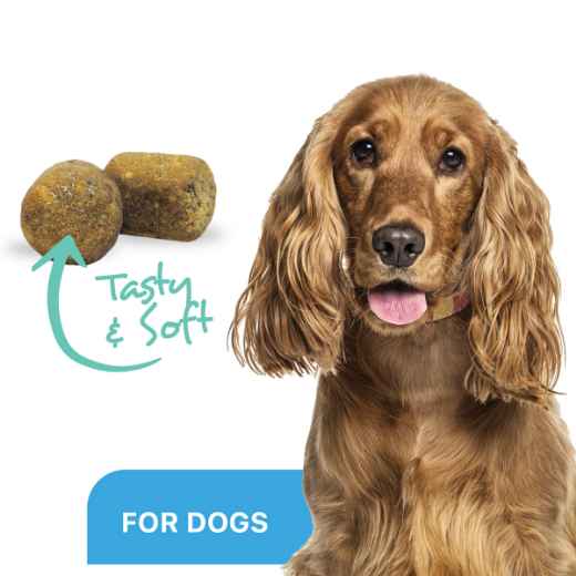 Picture of ProDen DentalCare SOFT CHEWS for Small/Med DOGS - 45s