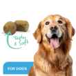 Picture of ProDen DentalCare SOFT CHEWS for LARGE DOGS - 45s