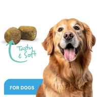 Picture of ProDen DentalCare SOFT CHEWS for LARGE DOGS - 45s