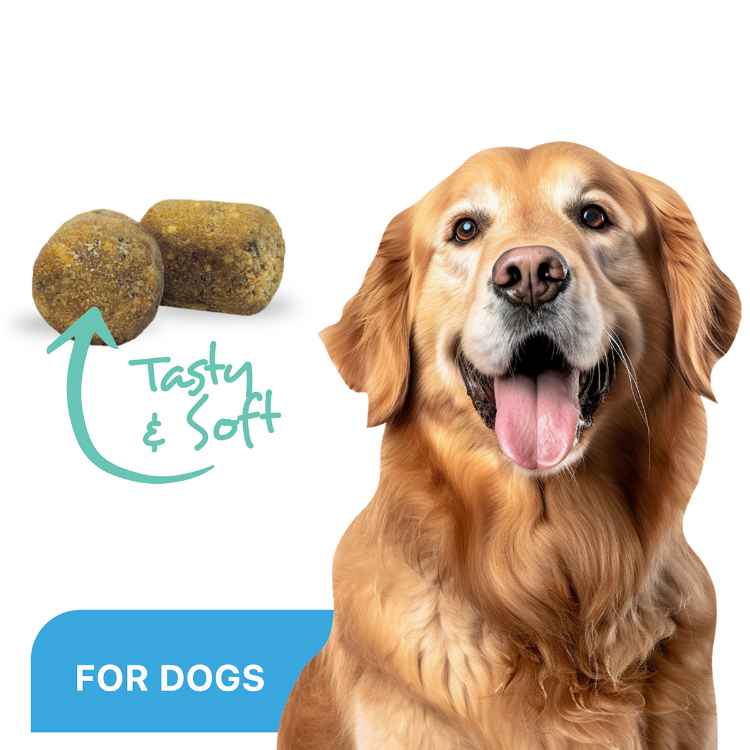 Picture of ProDen DentalCare SOFT CHEWS for LARGE DOGS - 45s