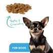 Picture of ProDen DentalCare DENTAL BITES for SMALL DOGS VEGGIE FLAVOUR - 170g