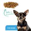 Picture of ProDen DentalCare DENTAL BITES for SMALL DOGS VEGGIE FLAVOUR - 170g