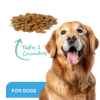 Picture of ProDen DentalCare DENTAL BITES for MED/LRG DOGS VEGGIE FLAVOUR - 170g