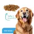 Picture of ProDen DentalCare DENTAL BITES for MED/LRG DOGS VEGGIE FLAVOUR - 170g