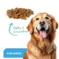 Picture of ProDen DentalCare DENTAL BITES for MED/LRG DOGS VEGGIE FLAVOUR - 170g