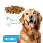 Picture of ProDen DentalCare DENTAL BITES for MED/LRG DOGS VEGGIE FLAVOUR - 170g