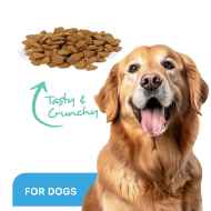 Picture of ProDen DentalCare DENTAL BITES for MED/LRG DOGS VEGGIE FLAVOUR - 170g
