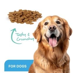 Picture of ProDen DentalCare DENTAL BITES for MED/LRG DOGS VEGGIE FLAVOUR - 170g