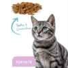 Picture of ProDen DentalCare DENTAL BITES for CATS VEGGIE FLAVOUR - 85g