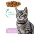 Picture of ProDen DentalCare DENTAL BITES for CATS VEGGIE FLAVOUR - 85g