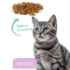 Picture of ProDen DentalCare DENTAL BITES for CATS VEGGIE FLAVOUR - 85g