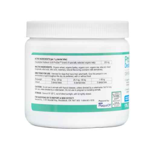 Picture of ProDen DentalCare DENTAL BITES for MED/LRG DOGS VEGGIE FLAVOUR - 170g