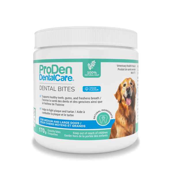 Picture of ProDen DentalCare DENTAL BITES for MED/LRG DOGS VEGGIE FLAVOUR - 170g