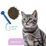 Picture of ProDen DentalCare POWDER for CATS - 60g