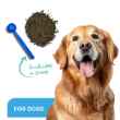 Picture of ProDen DentalCare POWDER for DOGS - 180g
