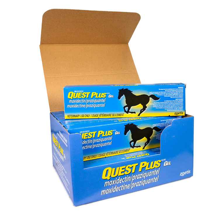 Picture of QUEST PLUS GEL - 12 tubes(su4)