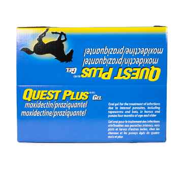 Show details for QUEST PLUS GEL - 12 tubes(su4) Picture of QUEST PLUS GEL - 12 tubes(su4)