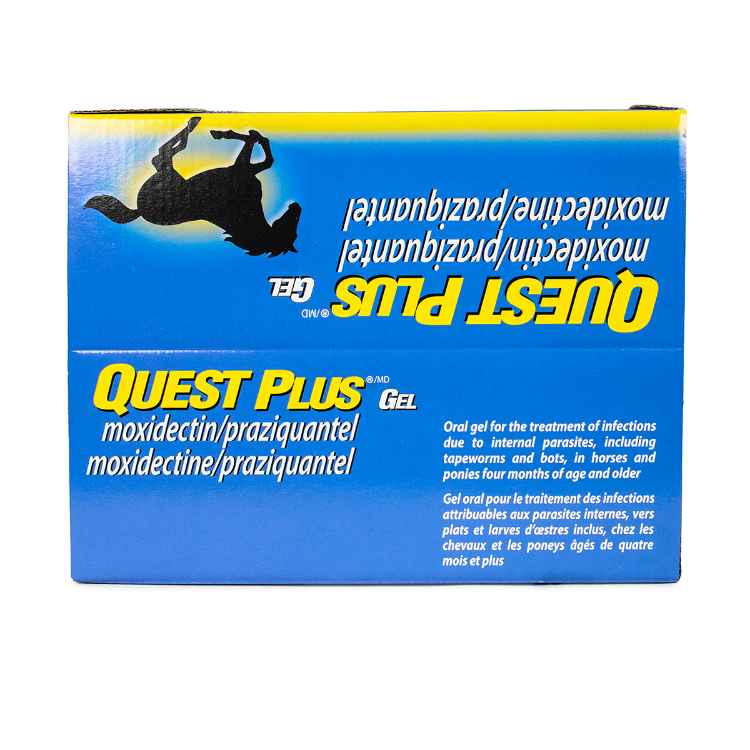Picture of QUEST PLUS GEL - 12 tubes(su4)