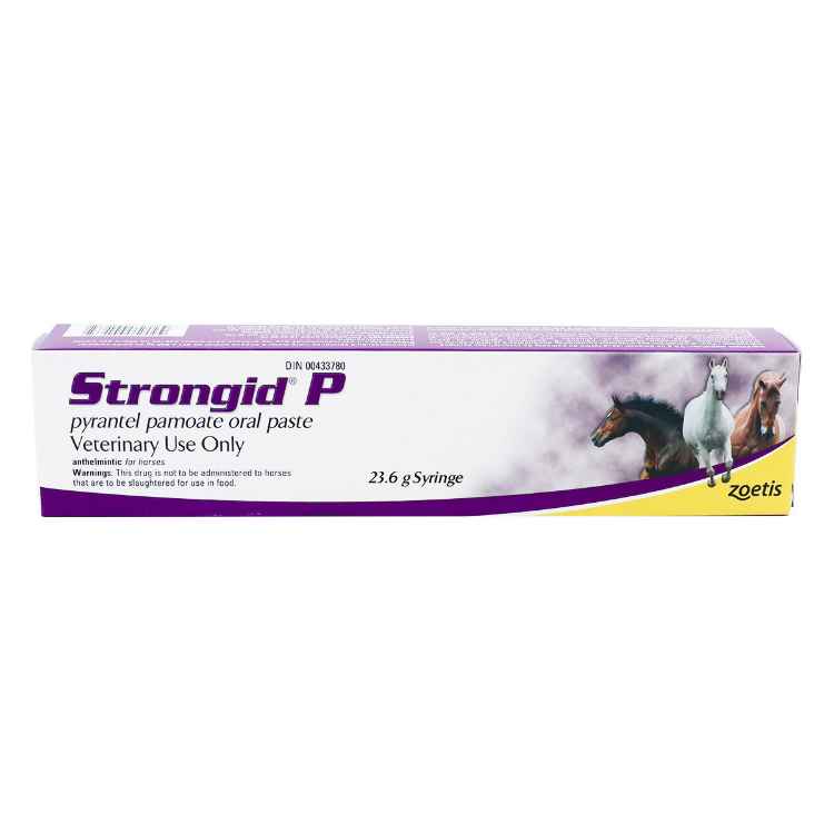 Picture of STRONGID-P PASTE SYRINGE 12 x 23.6g syr (su3)