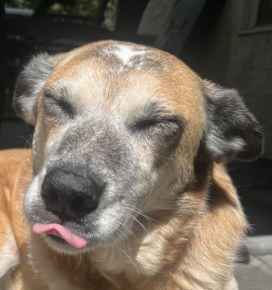 Picture for category Dr. Olivia's Favourites 