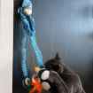 Picture of TOY CAT MAD CAT Sushi Time Doorknob Toy