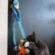 Picture of TOY CAT MAD CAT Sushi Time Doorknob Toy