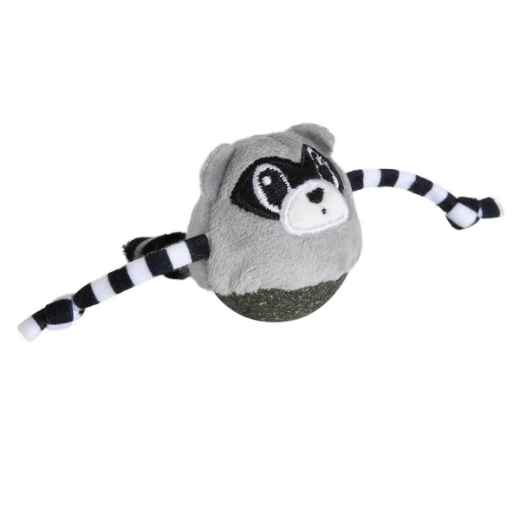 Picture of TOY CAT QUIRKY KITTY Raccoon Catnip Bobbler