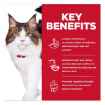 Picture of FELINE SCIENCE DIET ADULT PERFECT DIGESTION SALMON - 6lb