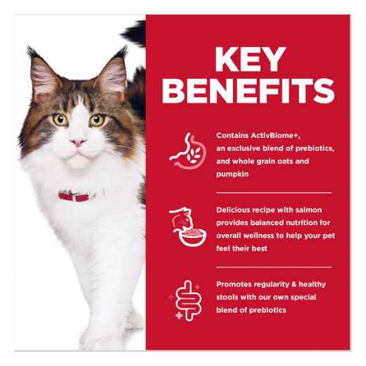 Picture of FELINE SCIENCE DIET ADULT PERFECT DIGESTION SALMON - 6lb