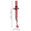 Picture of XMAS HOLIDAY CANINE KONG SCRUBZ - Large 