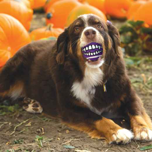 Picture of HALLOWEEN TOY DOG GRINZ SPORTS BALLS Medium - 3/pk 