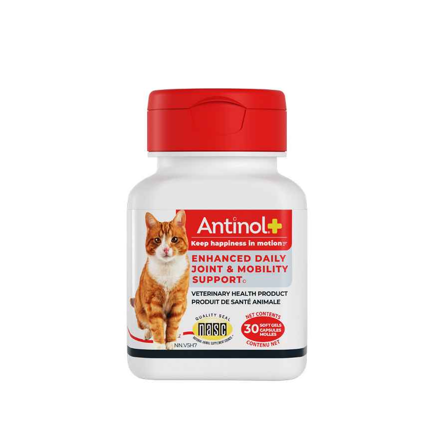 Picture of ANTINOL PLUS JOINT & MOBILITY SUPPORT CAPSULES for CATS - 30s