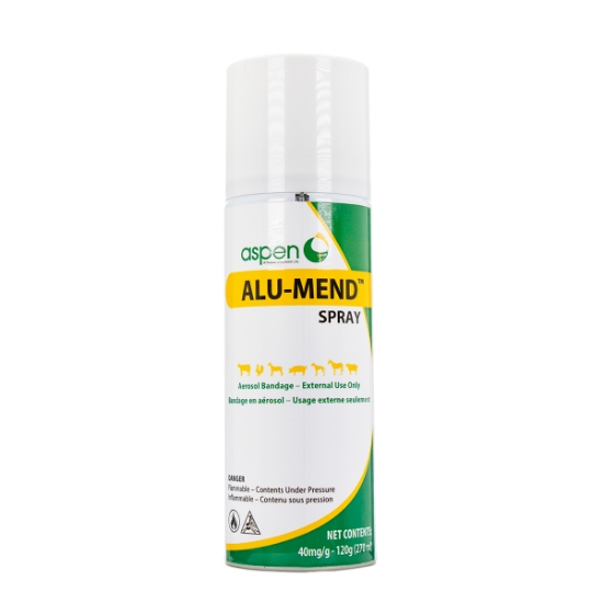 Picture of ALU-MEND AEROSOL SPRAY ON BANDAGE - 120g/270ml