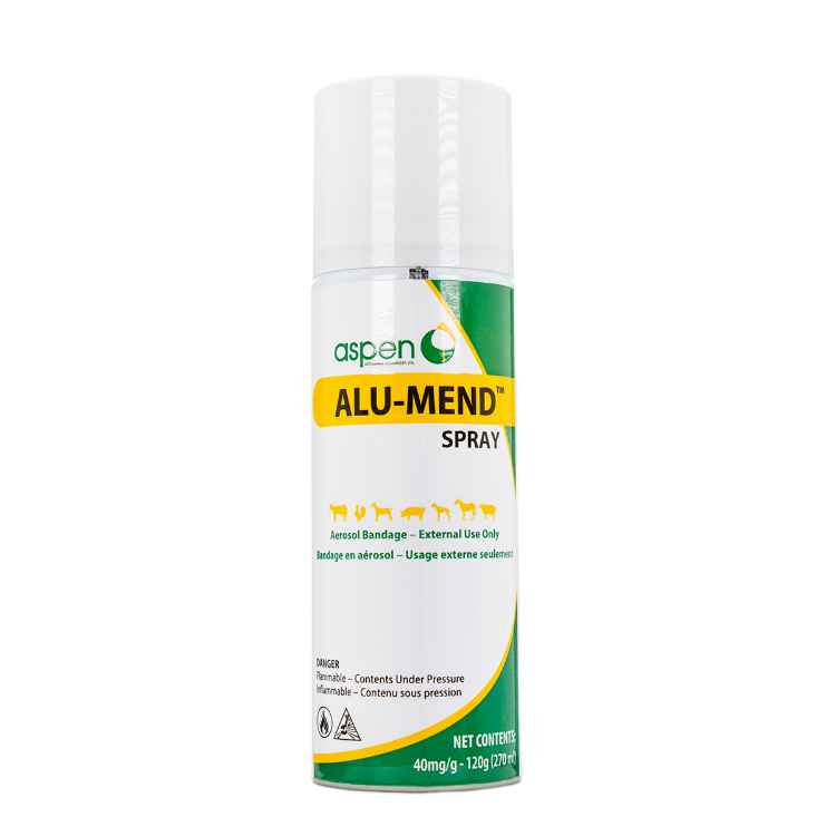 Picture of ALU-MEND AEROSOL SPRAY ON BANDAGE - 120g/270ml